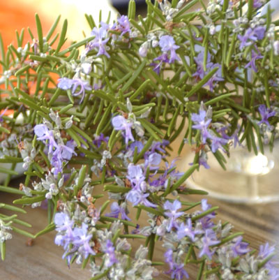 Rosemary Grapeseed Oil Recipes
